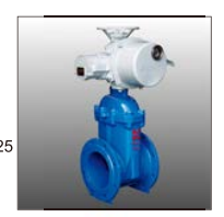 Van cổng ty chìm điều khiển bằng bộ truyền động điện RVEX