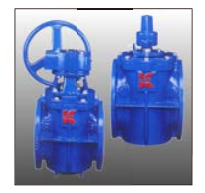 Van nút lệch tâm đệm mềm