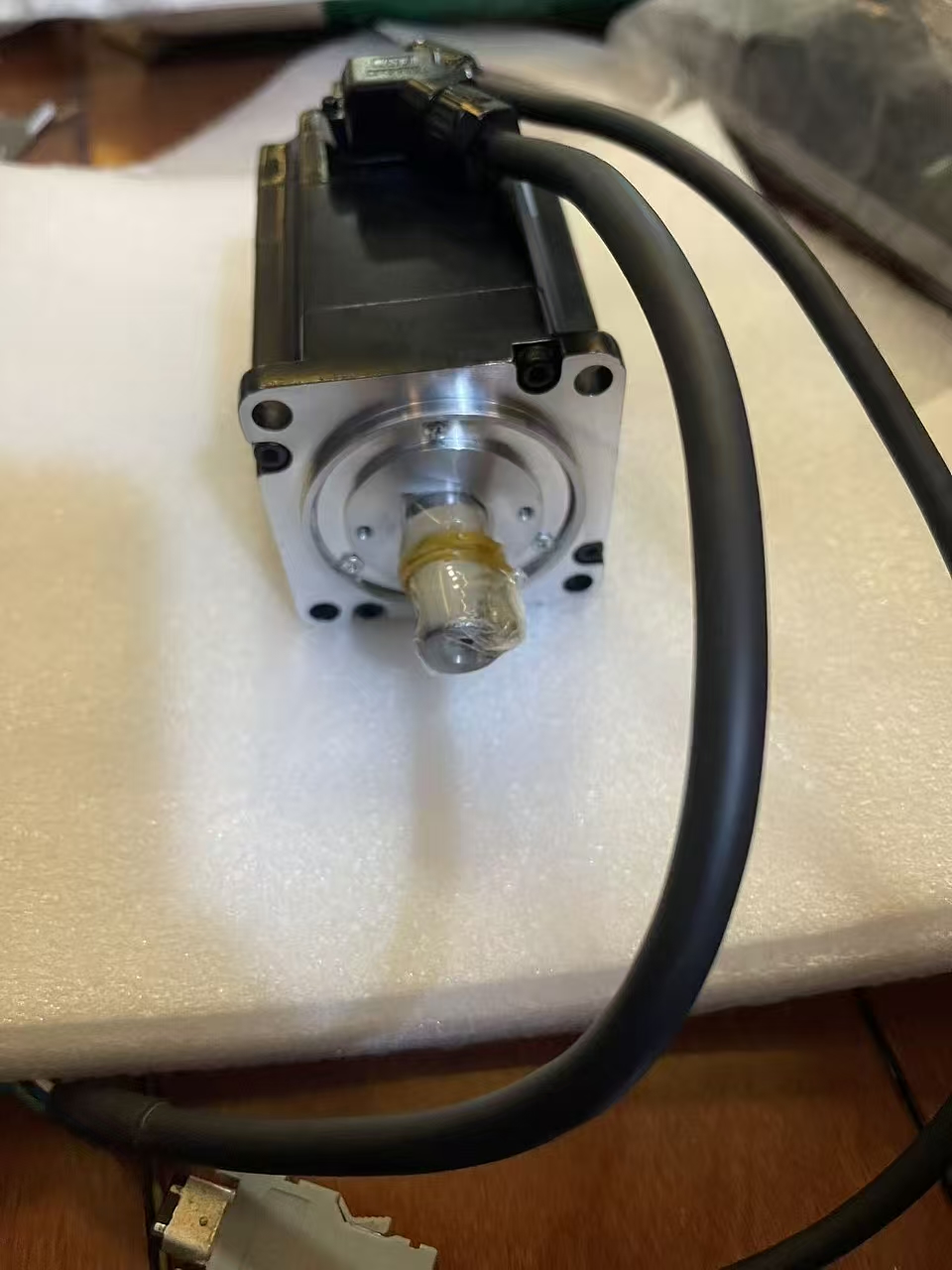 Động cơ Servo